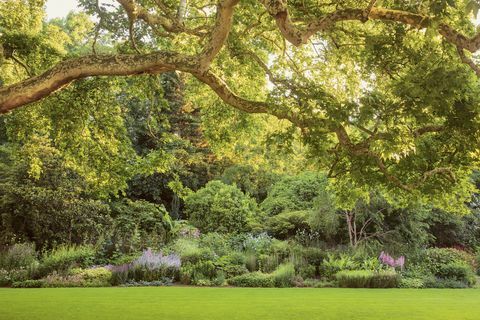 zahrady buckinghamského paláce odhalené v nové knize