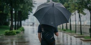 zadní pohled na inteligentního kauzálního muže držícího deštník a procházky po parku v deštivém městském městě