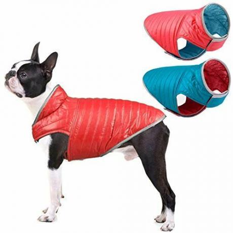 Voděodolná bunda pro psy 