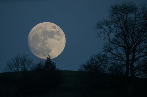 Vlk Měsíc stoupá nad Glastonburym před kanceláří Met Závažné varování o počasí