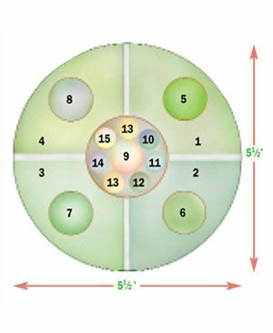 Klíč k plánu 1. Divoká jahoda (Fragaria vesca) 12 rostlin, osázených 8 palců od sebe; Vysoký 8 až 10 palců; 3dílné listy ve tvaru ventilátoru; malé bílé květy, po kterých následuje hrachové ovoce. Listy vytvářejí ovocný čaj; lze kombinovat se sladkým dřevem. Oblasti 4 až 8.