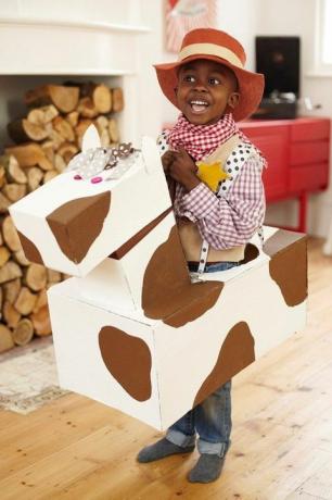 malý chlapec oblečený jako kovboj s kovbojským kloboukem a kostkovanou košilí a šátkem s lepenkovým koněm kolem pasu