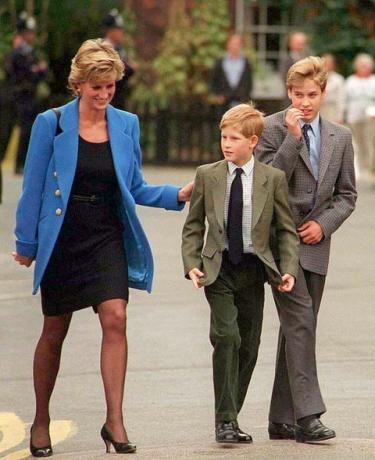 Princ William říká, že on a princ Harry nechají princeznu Dianu dolů a nemohli ji chránit v dokumentárním filmu BBC