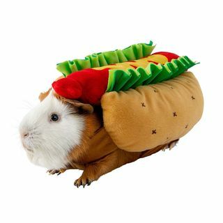 Hot Dog kostým
