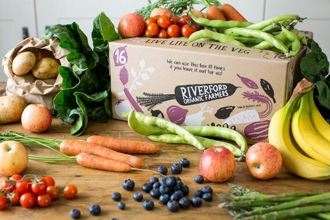 Riverford Organic Farmers - zeleninová krabička