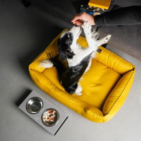 ŽLUTÁ Pelíšek se snímatelným potahem světlé psí hnízdo MUSTARD XS - Xxl velikost podložka pro psa, Dárek pro majitele psů