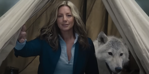 sarah mclachlan busch light super bowl reklama