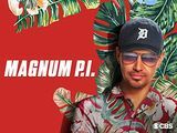 Magnum P.I., sezóna 1