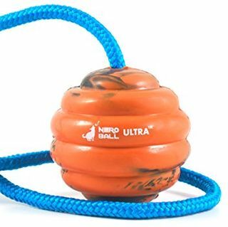 Nero Ball Ultra TM - tréninkový míček na laně - cvičení a odměňování hraček pro psy