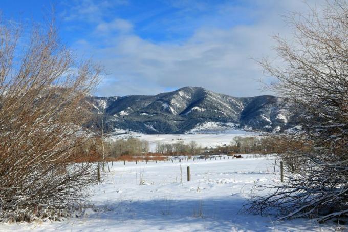 zimní pohled na pohoří Bridger z pohledu bozeman montana foto od dona a melindy crawforducguniversal images group via getty images