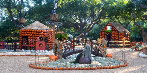 Vesnice Dallas Pumpkin Village 2018