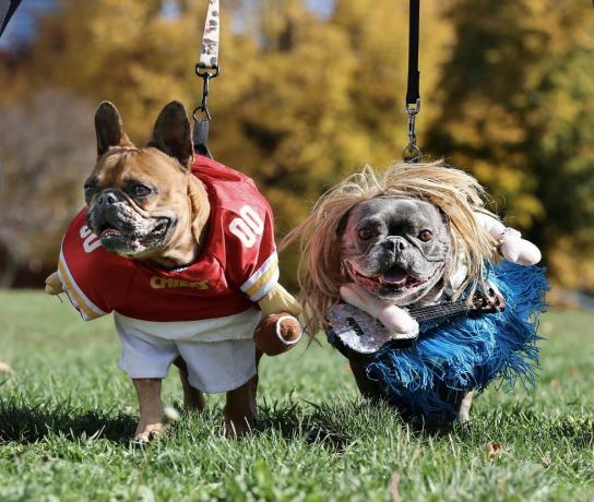 dva psi oblečení jako taylor swift a travis kelce na halloween