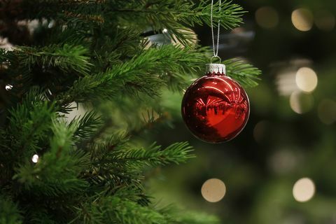 Vánoční cetka visí ze stromu