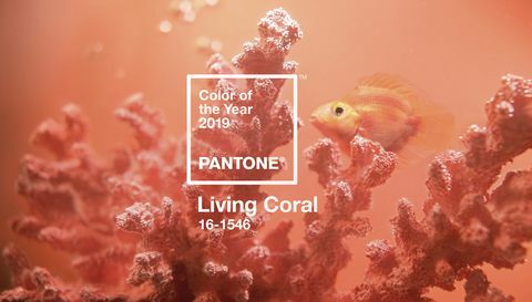 Pantone Color roku 2019 - Living Coral