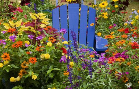 Jak připravit vaši zahradu na jarní židli uprostřed barevných jednoletých květin