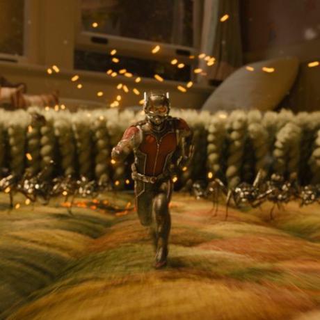 jak sledovat všechny divné filmy v pořadí - ant-man