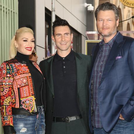 „Hlas“ obsadil blakea Sheltona, gwen stefani a adama levina