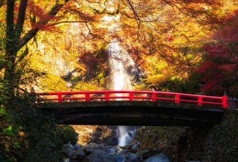 Minoh vodopád v podzimní sezóně, Osaka v Japonsku, krásný vodopád v japonském Osace