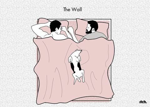 Pes ilustrace nové studium pet spací pozice