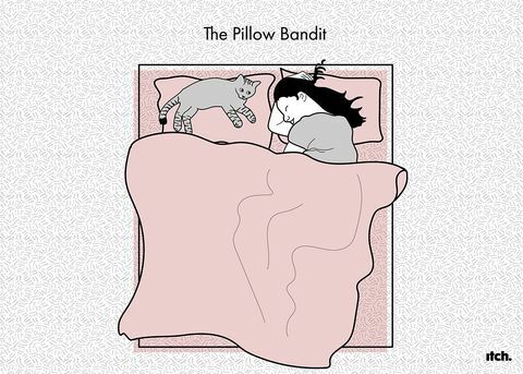 Kočka ilustrace nová studie o poloze pro spaní domácích mazlíčků