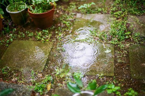 kapky deště opouští kroužky na vodě v zahradě