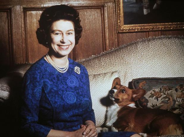 královna Alžběta II. s corgi, 1970 foto od keytionehulton archivegetty images