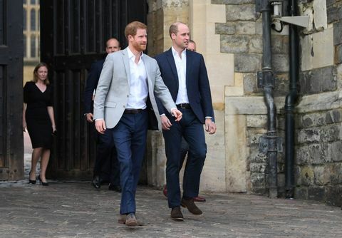 Princ Harry, princ William