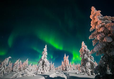 Zimní noční krajina s lesem a polární polární záře