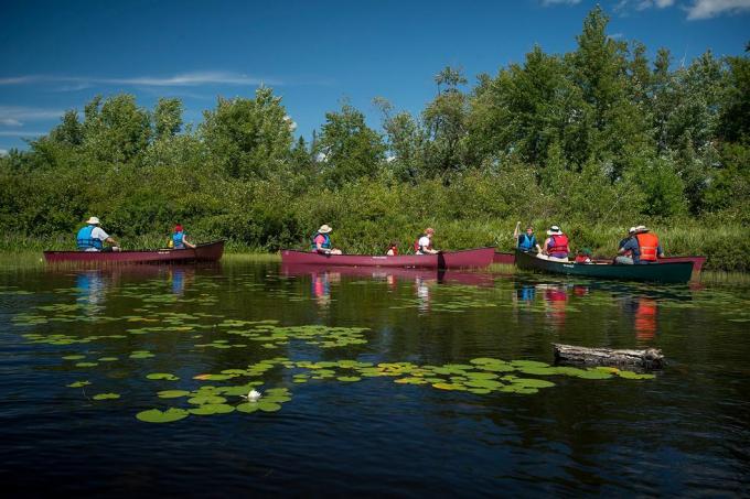 Odraz, Loď, Plavba, Venkovní rekreace, Plavidlo, Skif, Jezero, Jezero, Pádlo, Kanoe, 