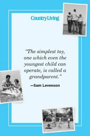„Nejjednodušší hračka, kterou může ovládat i nejmladší dítě, se nazývá prarodič“ —sam levenson